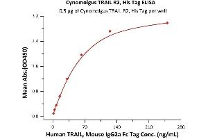Immobilized Cynomolgus TRAIL R2, His Tag (ABIN6973287) at 5 μg/mL (100 μL/well) can bind Human TRAIL, Mouse IgG2a Fc Tag (ABIN6933657,ABIN6938881) with a linear range of 2-63 ng/mL (QC tested). (TNFRSF10B Protein (AA 58-212) (His tag))