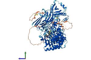 AlphaFold protein structure predicition of Human Recombinant AP2A1 Protein, UniprotID O95782