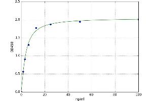A typical standard curve (CNDP1 Kit ELISA)