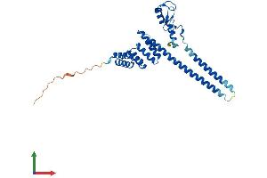 AlphaFold protein structure predicition of Mouse Recombinant Stub1 Protein, UniprotID Q9WUD1