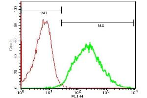 Mouse spleen cells probed with Rabbit Anti-IL-1R2 Polyclonal Antibody, FITC Conjugated (ABIN747758-FITC) (green) at 1:50 for 60 minutes compared to control cells (red).