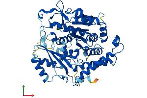 AlphaFold protein structure predicition of Human Recombinant TUBG2 Protein, UniprotID Q9NRH3