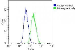 Overlay histogram showing PC-3 cells stained with (ABIN6242412 and ABIN6578812)(green line).