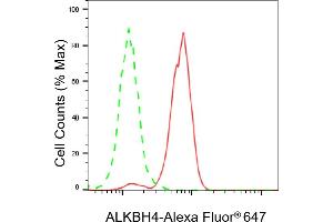 anti-AlkB, Alkylation Repair Homolog 4 (E. Coli) (ALKBH4) antibody