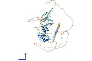 AlphaFold protein structure predicition of Human Recombinant MED15 Protein, UniprotID Q96RN5