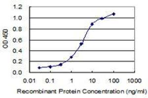Detection limit for recombinant GST tagged EMID2 is 0.