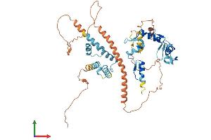 AlphaFold protein structure predicition of Human Recombinant ZNF165 Protein, UniprotID P49910