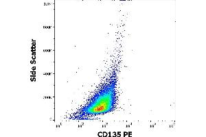 Flow cytometry surface staining pattern of REH cellular suspension stained using anti-human CD135 (BV10A4) PE antibody (20 μL reagent per million cells in 100 μL of cell suspension). (FLT3 anticorps  (PE))