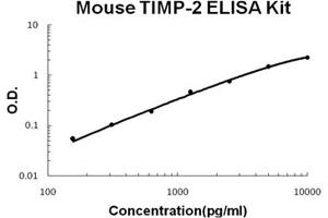 Mouse TIMP-2 Accusignal ELISA Kit Mouse TIMP-2 AccuSignal ELISA Kit standard curve. (TIMP2 Kit ELISA)