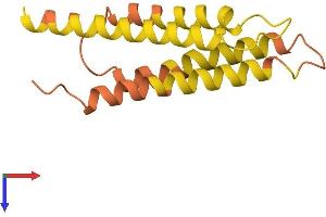 AlphaFold protein structure predicition of Human Recombinant PBOV1 Protein, UniprotID Q9GZY1