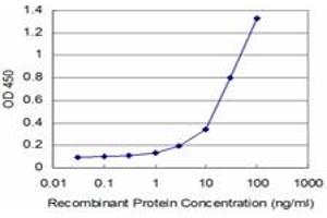 Detection limit for recombinant GST tagged STYK1 is approximately 1ng/ml as a capture antibody. (STYK1 anticorps  (AA 50-159))