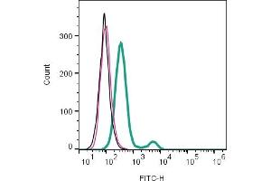 Cell surface detection of CCR2 by direct flow cytometry in live intact mouse J774 macrophage cell line: + Rabbit IgG isotype control-FITC ((ABIN7582044).