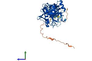 AlphaFold protein structure predicition of Human Recombinant PHYHIPL Protein, UniprotID Q96FC7