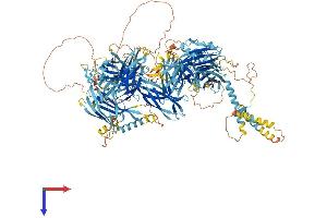 AlphaFold protein structure predicition of Mouse Recombinant Nphp4 Protein, UniprotID P59240