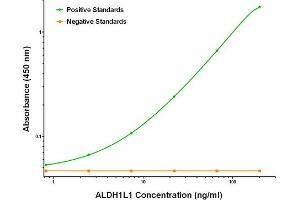 ELISA image for anti-Aldehyde Dehydrogenase 1 Family, Member L1 (ALDH1L1) antibody (ABIN2715903) (ALDH1L1 anticorps)