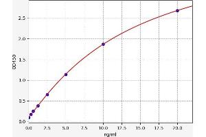 Typical standard curve (TATA Box Binding Protein/TBP-Associated Factors Kit ELISA)