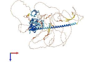 AlphaFold protein structure predicition of Mouse Recombinant Map3k9 Protein, UniprotID Q3U1V8