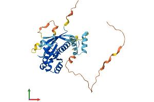 AlphaFold protein structure predicition of Human Recombinant RAB40B Protein, UniprotID Q12829