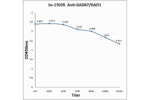 Antigen: 0. (GAD anticorps  (AA 455-594))
