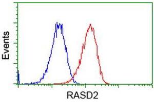 Flow cytometric Analysis of Hela cells, using anti-RASD2 antibody (ABIN2453588), (Red), compared to a nonspecific negative control antibody (TA50011), (Blue).