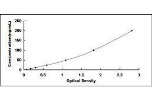 ELISA image for Inter-alpha Globulin Inhibitor H2 Polypeptide (ITIH2) ELISA Kit (ABIN423386)