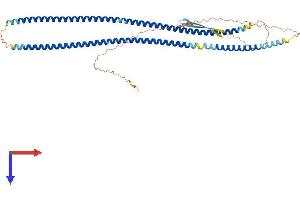 AlphaFold protein structure predicition of Human Recombinant DES Protein, UniprotID P17661