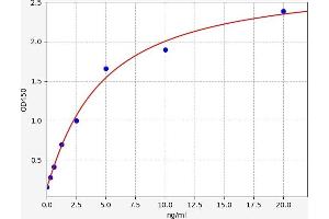 Typical standard curve (SALL2 Kit ELISA)