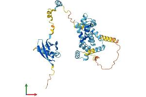 AlphaFold protein structure predicition of Human Recombinant UBAC1 Protein, UniprotID Q9BSL1
