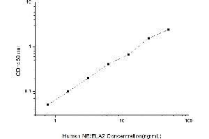 Typical standard curve (ELANE Kit ELISA)