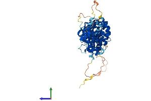 AlphaFold protein structure predicition of Mouse Recombinant Saal1 Protein, UniprotID Q9D2C2