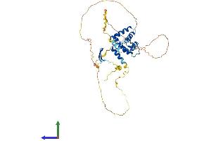 AlphaFold protein structure predicition of Mouse Recombinant Arid3c Protein, UniprotID A6PWV5