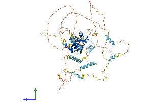 AlphaFold protein structure predicition of Mouse Recombinant Numb Protein, UniprotID Q9QZS3