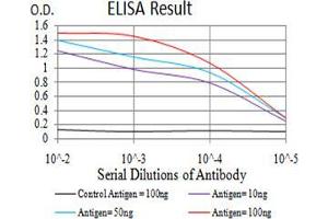 Black line: Control Antigen (100 ng);Purple line: Antigen (10ng); Blue line: Antigen (50 ng); Red line:Antigen (100 ng)