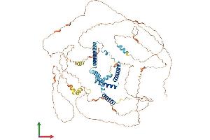 AlphaFold protein structure predicition of Mouse Recombinant Rtn1 Protein, UniprotID Q8K0T0