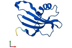 AlphaFold protein structure predicition of Human Recombinant CSTB Protein, UniprotID P04080