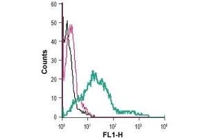 Cell surface detection of SERT in live intact human MEG-01 megakaryoblastic leukemia cells: (black line) Cells.