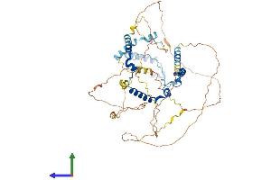 AlphaFold protein structure predicition of Mouse Recombinant Phactr1 Protein, UniprotID Q2M3X8