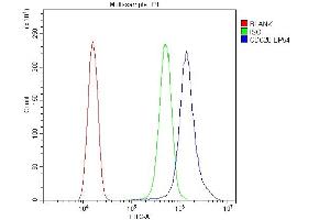 Flow Cytometry analysis of SiHa cells using anti-Cdc20 antibody (ABIN5518976). (CDC20 anticorps)