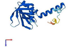 AlphaFold protein structure predicition of Human Recombinant PLEKHJ1 Protein, UniprotID Q9NW61