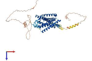 AlphaFold protein structure predicition of Human Recombinant NPFFR2 Protein, UniprotID Q9Y5X5