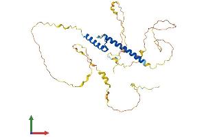 AlphaFold protein structure predicition of Mouse Recombinant Atoh1 Protein, UniprotID P48985