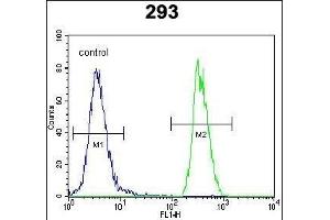 SOX2 Antibody  (ABIN6243285 and ABIN6577390) flow cytometric analysis of 293 cells (right histogram) compared to a negative control cell (left histogram).