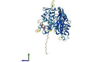 AlphaFold protein structure predicition of Mouse Recombinant Tstd2 Protein, UniprotID Q3U269