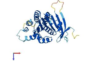 AlphaFold protein structure predicition of Human Recombinant ELP6 Protein, UniprotID Q0PNE2