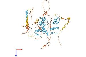 AlphaFold protein structure predicition of Human Recombinant FEZF1 Protein, UniprotID A0PJY2