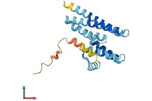 AlphaFold protein structure predicition of Human Recombinant LZIC Protein, UniprotID Q8WZA0
