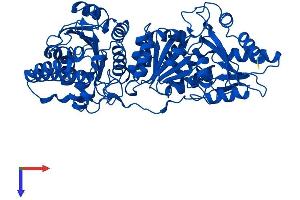 AlphaFold protein structure predicition of Mouse Recombinant Tkt Protein, UniprotID P40142