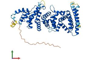 AlphaFold protein structure predicition of Mouse Recombinant Fbxo47 Protein, UniprotID A2A6H3
