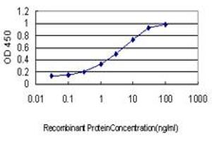 Detection limit for recombinant GST tagged MLH1 is approximately 0.