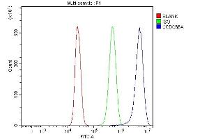 Flow Cytometry analysis of HepG2 cells using anti-CCDC88A antibody (ABIN7599868). (Girdin anticorps  (AA 1231-1836))